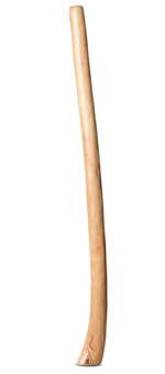 Medium Size Natural Finish Didgeridoo (TW1235)